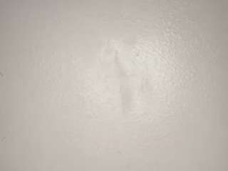 blackbunnii69 webcam