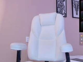 kai-falcon webcam model