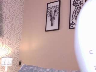 kai-falcon webcam model