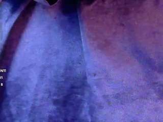 Kai-falcon live cam preview