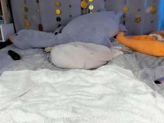 Jess-Lui live cam preview