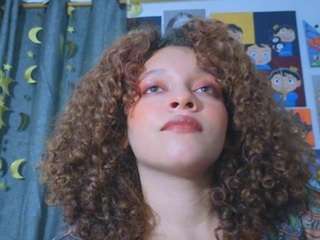 ada-gales webcam
