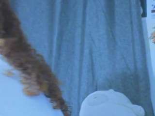 ada-gales live webcam show