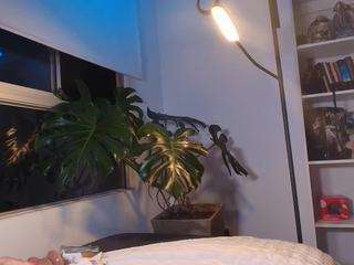 harveymiiller Live Webcam on CamSoda