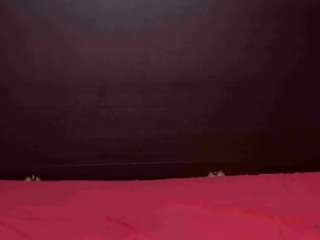 tscandicevip