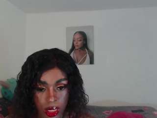kelsey-gold-bitch