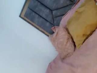 le modèle tifany-jakuza est en webcam porno dans un show sur le site camsoda, il possède les tags suivants: hd