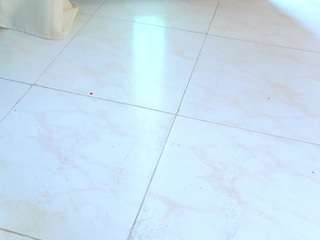 cataleya0320