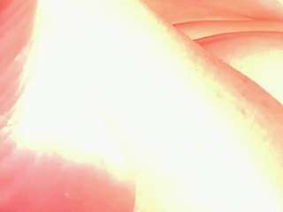 whitneyanderson18 jerkmate