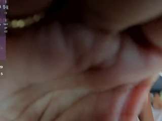 lucciaporter
