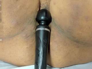 lucciaporter