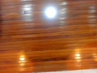 lucciaporter live webcam show