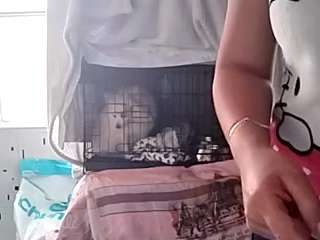 shannon-kane webcam