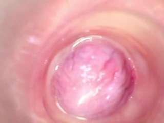  shannon-kane chat room