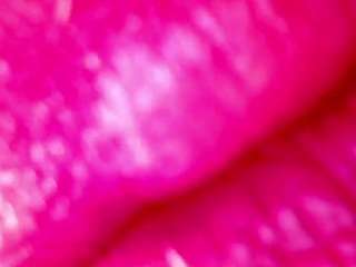 shannon-kane Profile Image