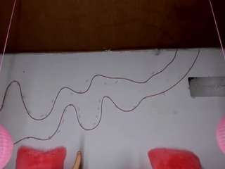 shannon-kane Live Webcam on CamSoda