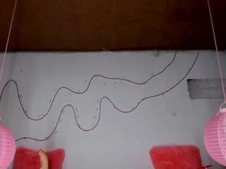  shannon-kane chat room