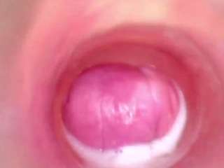  shannon-kane chat room