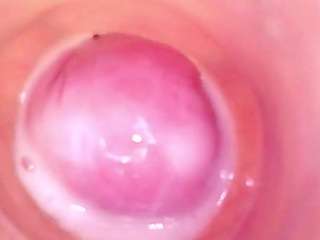 shannon-kane Live Webcam on CamSoda