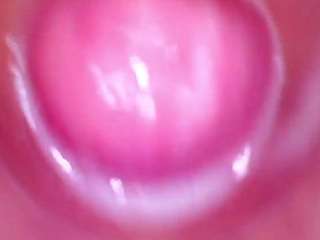 shannon-kane Live Webcam on CamSoda