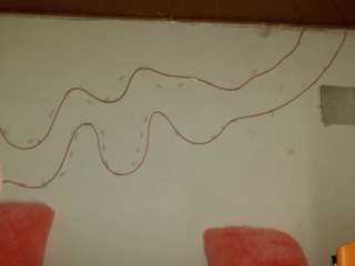 shannon-kane Live Webcam on CamSoda