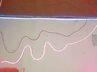 shannon-kane webcam model