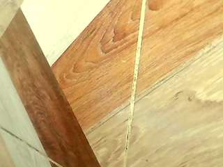 shannon-kane Live Webcam on CamSoda