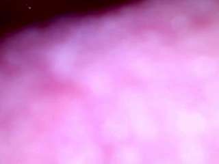 shannon-kane Live Webcam on CamSoda