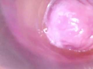 shannon-kane Live Webcam on CamSoda