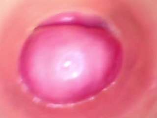 shannon-kane Live Webcam on CamSoda