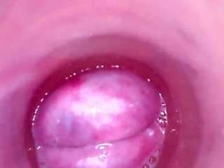 shannon-kane Live Webcam on CamSoda