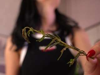 Live webcam model ellediane on Soda Cams