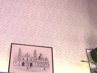 ⭐Tip me 101 to activate earthquake mode⭐Control lush x 102 tkns⭐Spin the wheel x 53 tks [43 tokens remaining]