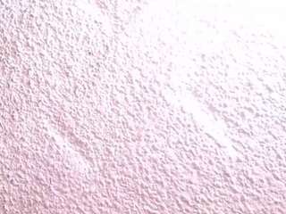  sofia-waltonx1 chat room