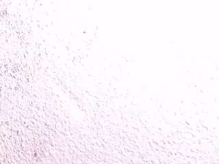  sofia-waltonx1 chat room