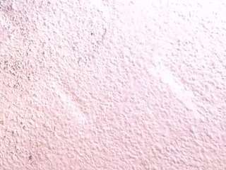  sofia-waltonx1 chat room