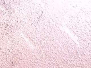  sofia-waltonx1 chat room