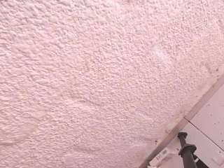 sofia-waltonx1 webcam model