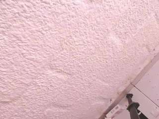 sofia-waltonx1 webcam