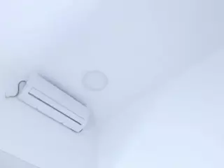 AlanisMorgan's Live Sex Cam Show