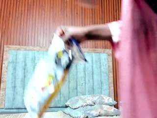 annyroy