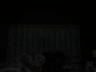annyroy