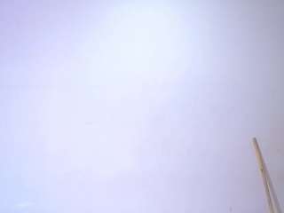 bigblackmilff1 webcam model