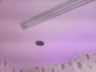 emyliesander Live Webcam on CamSoda