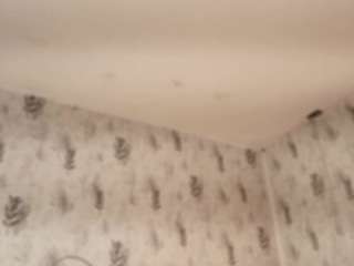 emyliesander live webcam show