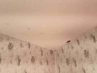 Emylie sexy body