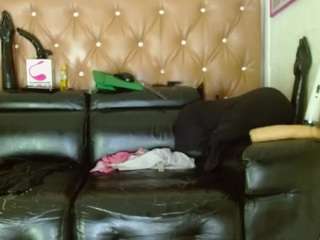 jennybigassxxx webcam