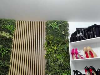 Sweet Cherry live cam preview