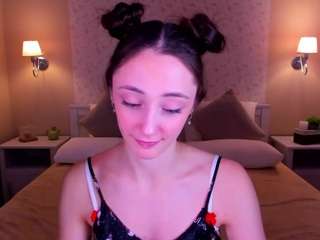 lexi-split webcam model
