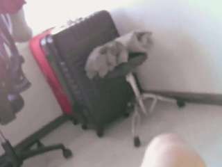 strong1couple webcam